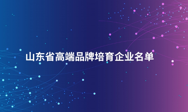 山东时搏网（中国）股份有限公司入选“山东省高端品牌培育企业名单”
